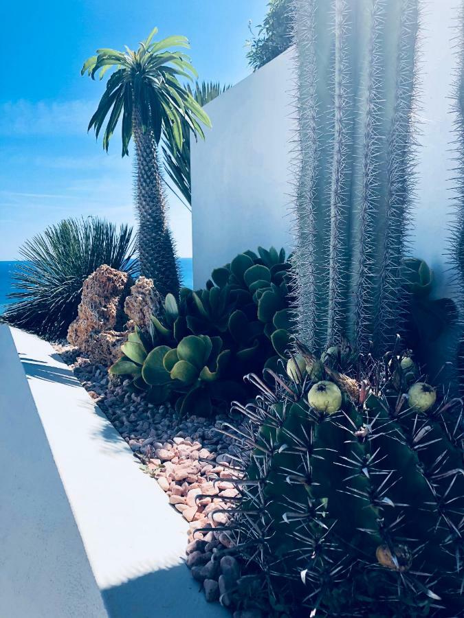 B&B Capo Torre Resort & Spa 上阿尔比索拉 外观 照片